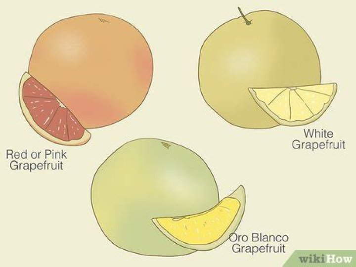 How do you know when to pick grapefruit