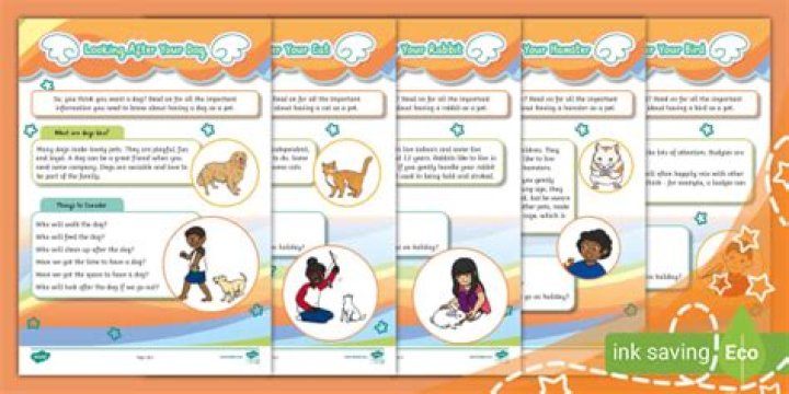 How do you look after monkey cups