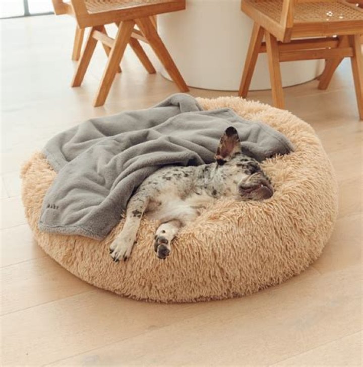 How do you make a calming pet bed