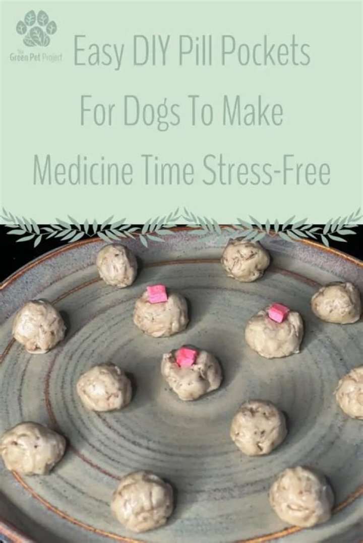 How do you make a dog pill pocket