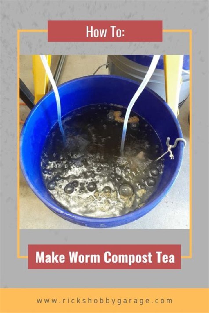 How do you make homemade worm tea