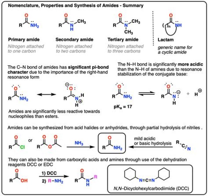How do you name amides and amines
