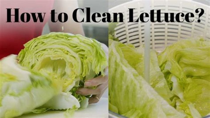 How do you properly clean lettuce