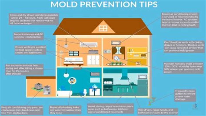 How do you stop Mould growing