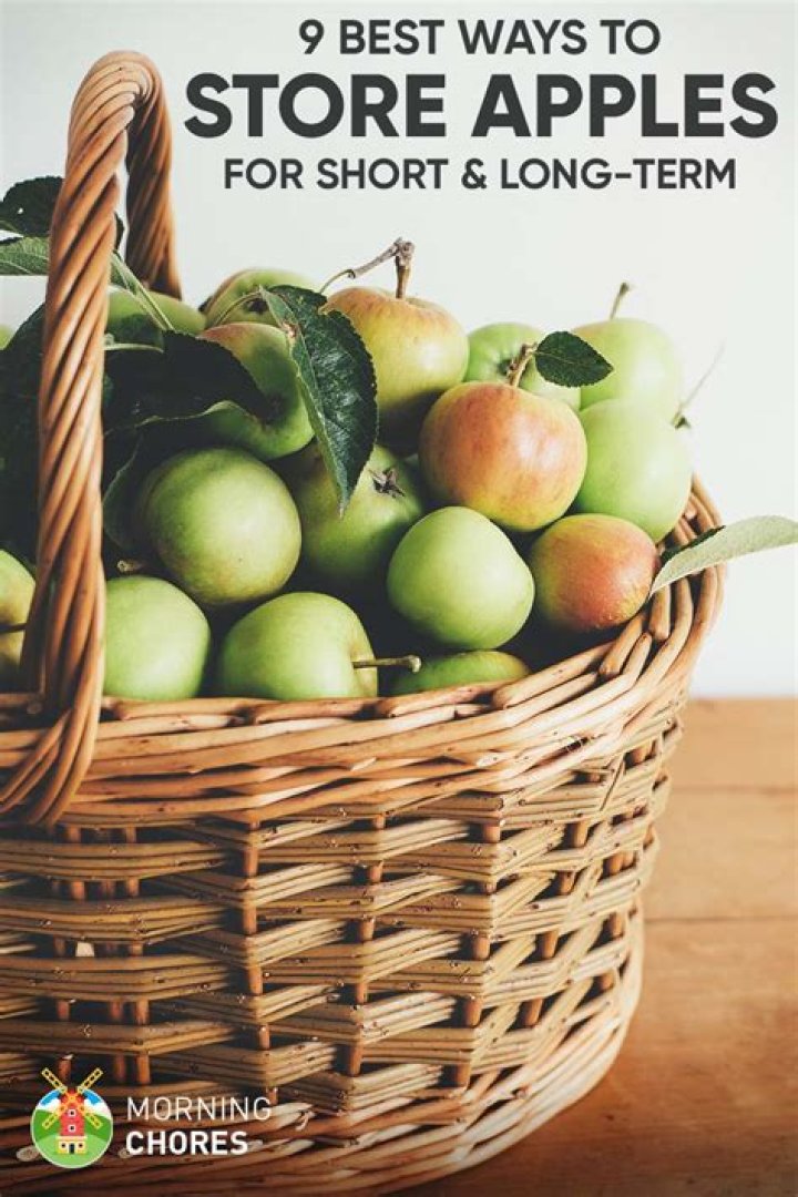 How do you store apples long term