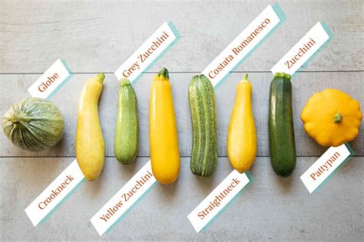 How do you store squash long term