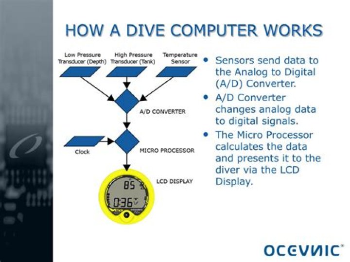 How does a dive computer work