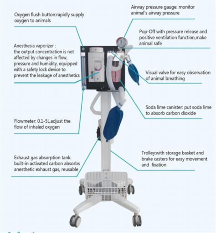 How does a veterinary anesthesia machine work