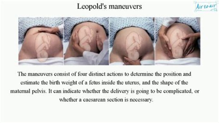 How does Leopold define ethic