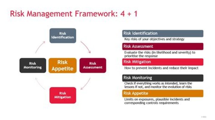 How does risk adjustment work