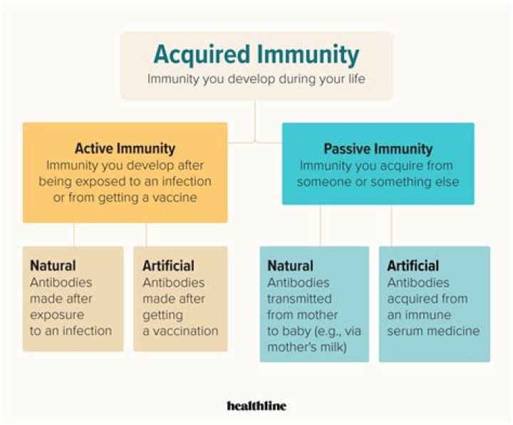 How is acquired immunity acquired