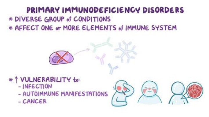 How is immunodeficiency diagnosed