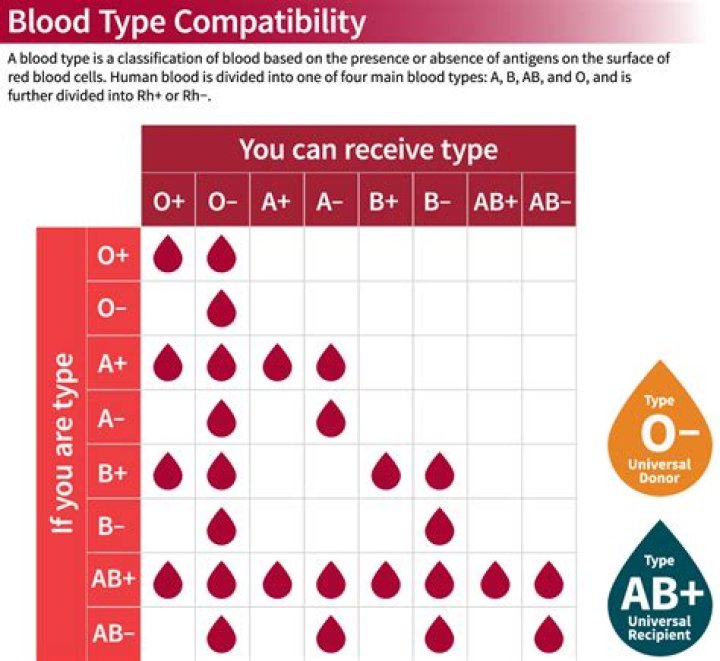 How is your blood type determined