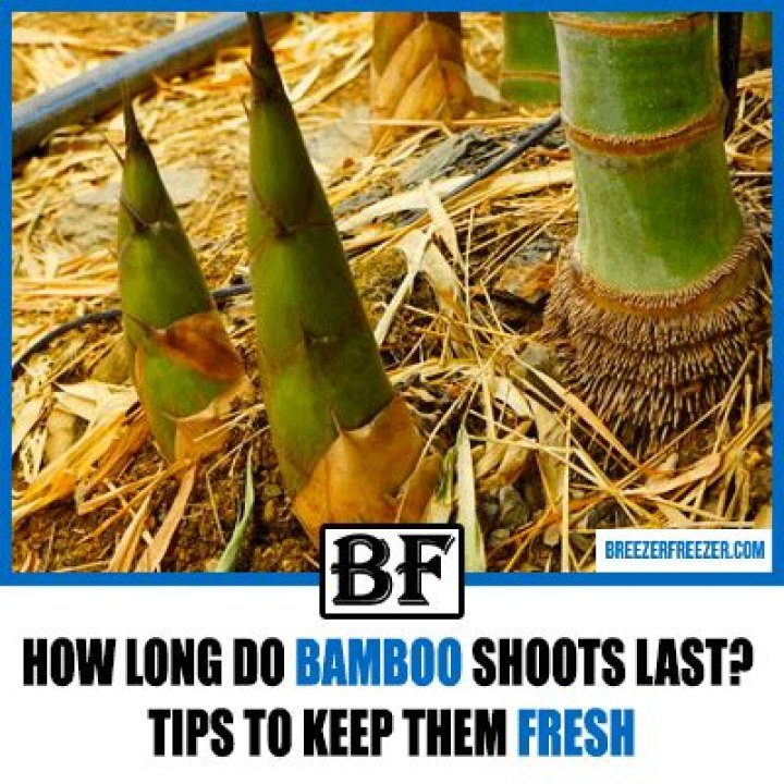 How long can I keep bamboo shoots