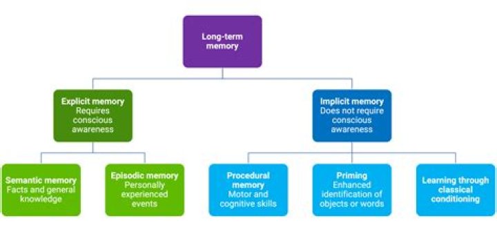 How long does it take for something to go into long term memory