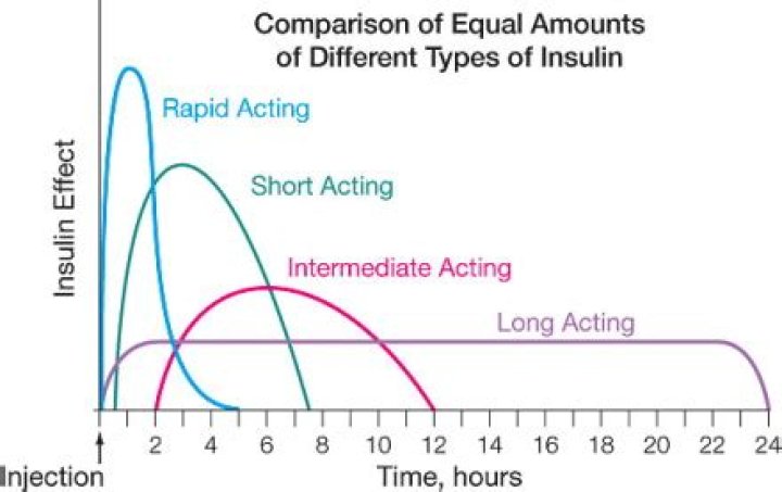 How long does Lantus take to work