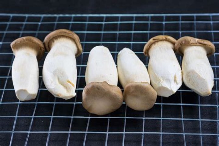 How much does a king oyster mushroom weigh