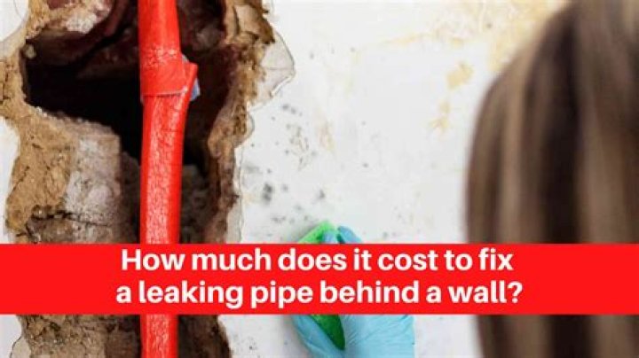 How much does it cost to cleanup water damage