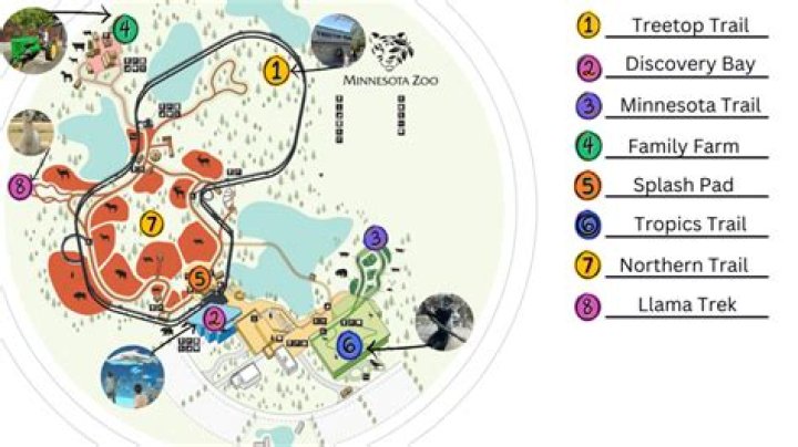 How much does the MN Zoo cost