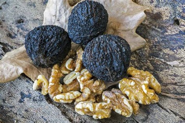 How much is a lb of black walnuts