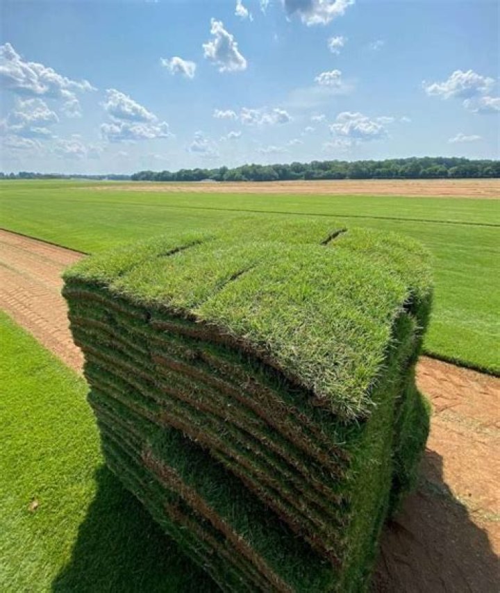 How much is a pallet of Super sod