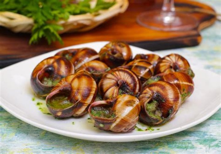 How much snails do French eat