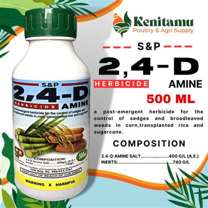 How often can I spray 2,4-D Amine