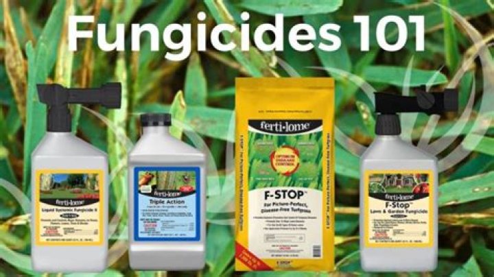 How often can you apply fungicide