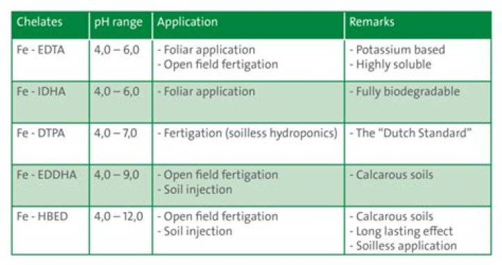How often should you chelate iron