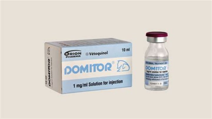 How quickly does Domitor work