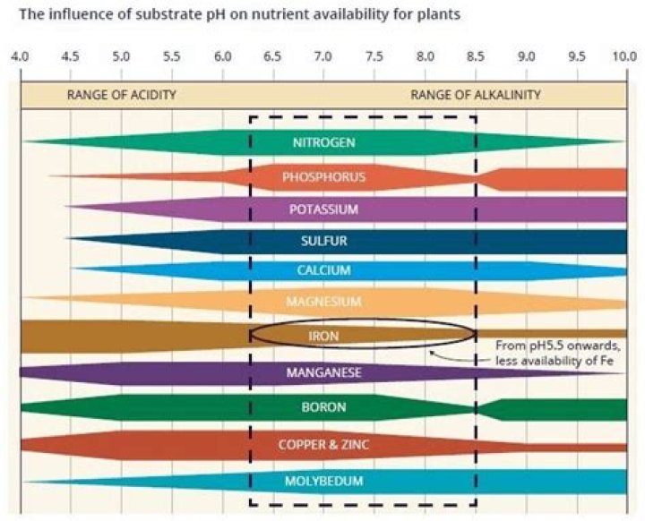 Is 7.5 pH too high for plants