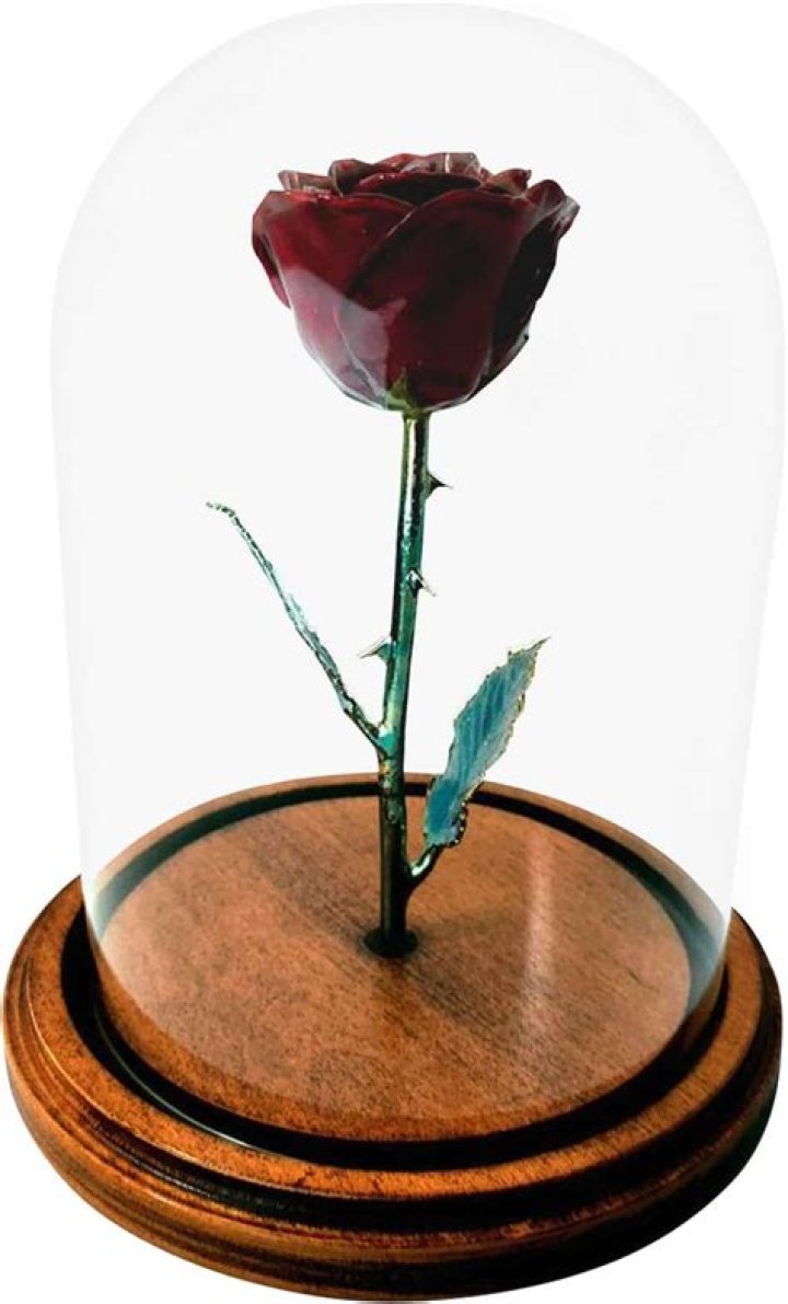 Is a forever rose a real rose