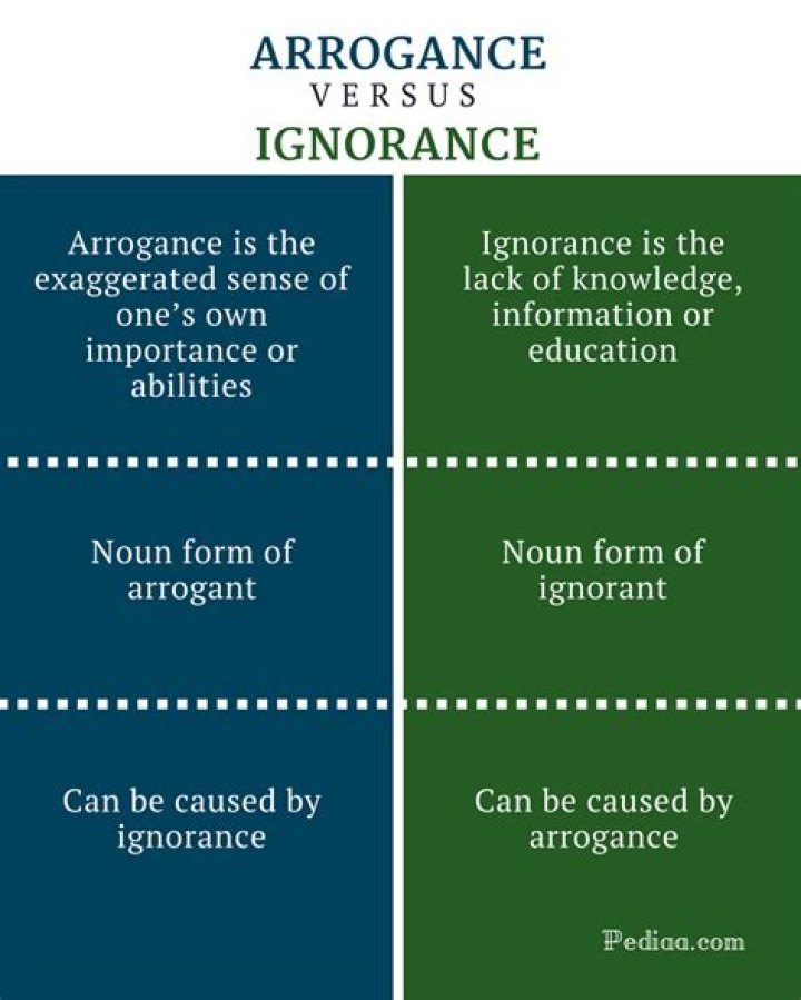 Is arrogance a noun or adjective