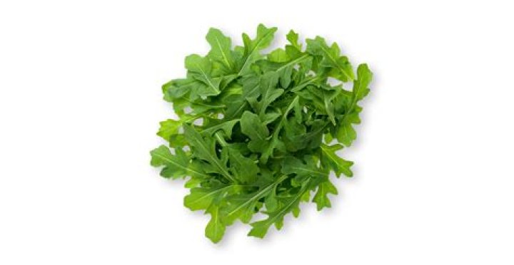 Is arugula a green or lettuce
