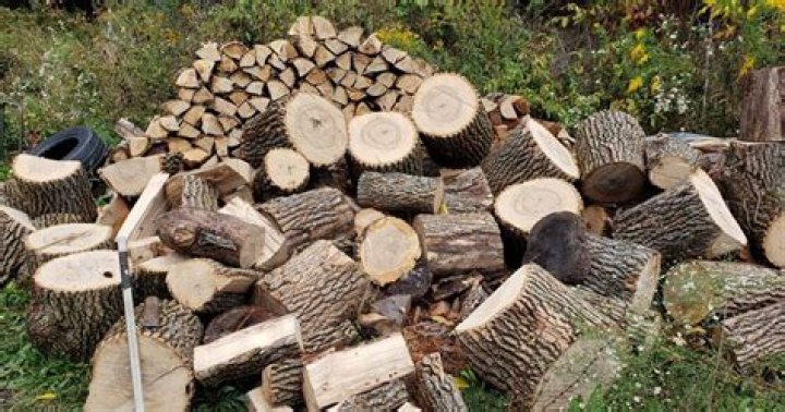 Is ash good for human consumption