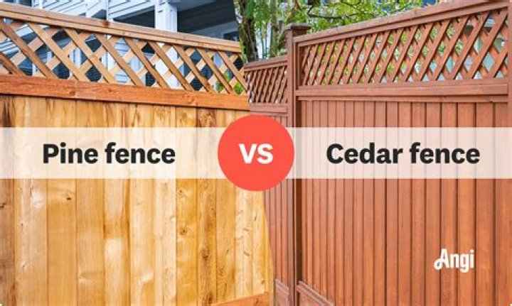 Is cedar more expensive than pine