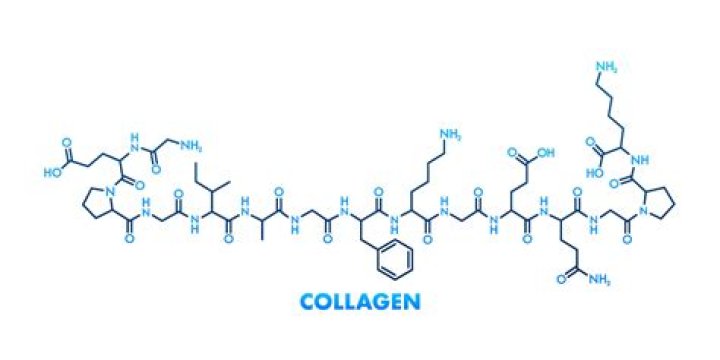 Is collagen a peptide protein
