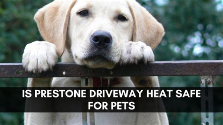 Is driveway heat pet-friendly