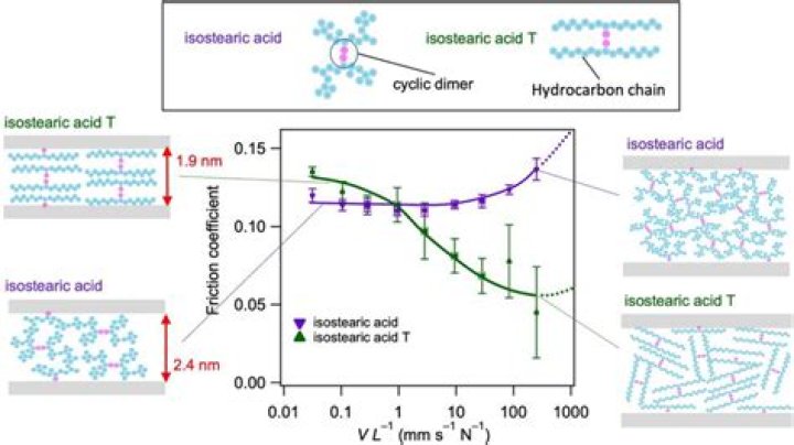 Is isostearic acid comedogenic