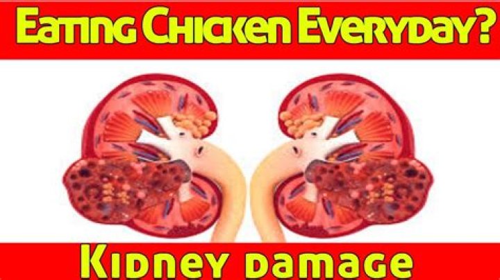 Is it bad to eat too much chicken