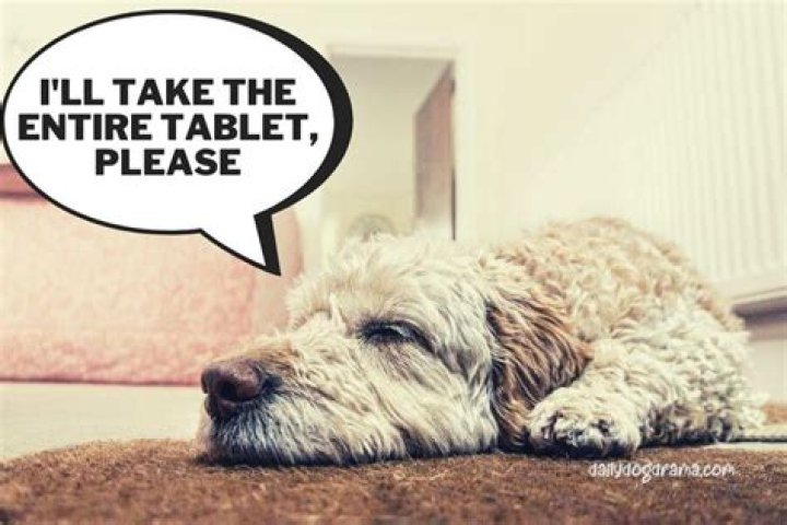 Is it OK to cut Heartgard in half