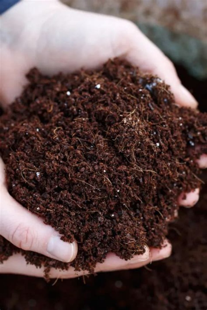 Is it OK to reuse potting soil