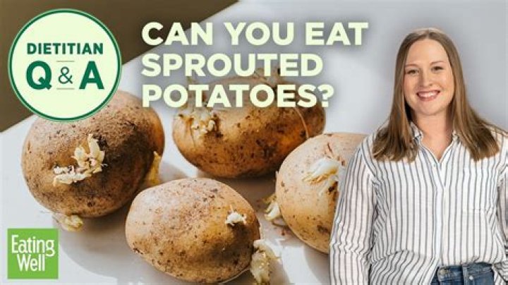 Is it safe to eat sprouted quinoa
