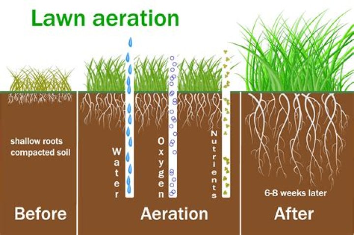 Is it worth aerating your lawn