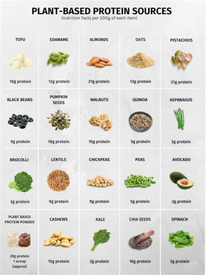 Is lambs liver high in protein