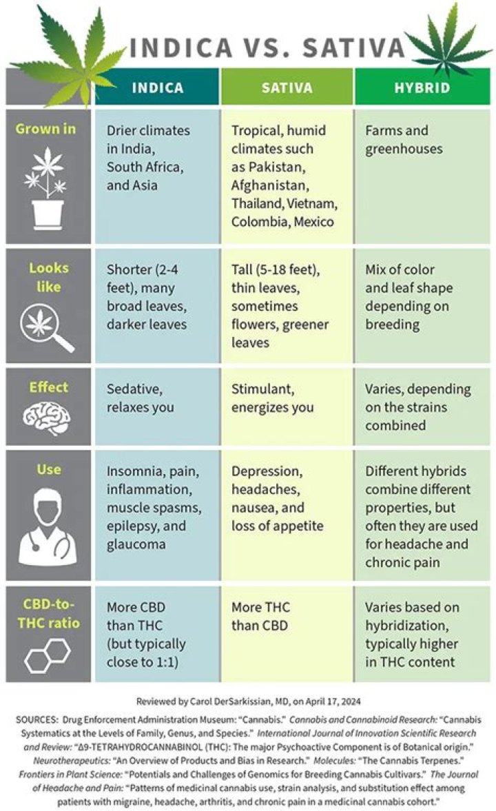 Is Larry OG a sativa or indica