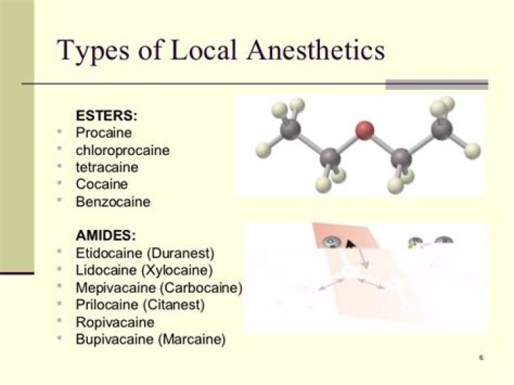 Is lidocaine an ester or amide