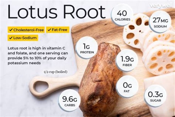 Is Lotus Root high in calories