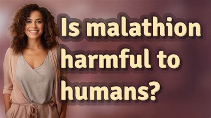 Is malathion harmful to humans