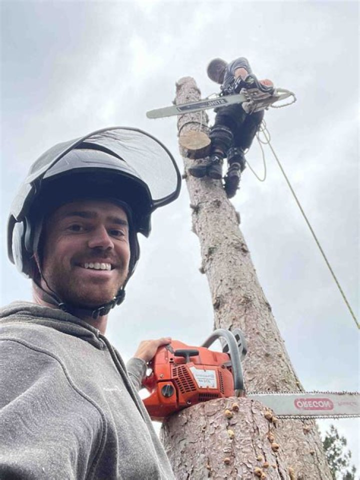 Is may too late to trim trees